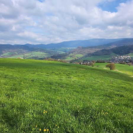 Ferienwohnung Herzlicht Titisee-Neustadt Eksteriør billede