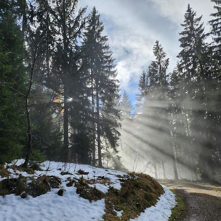 Ferienwohnung Herzlicht Titisee-Neustadt Eksteriør billede