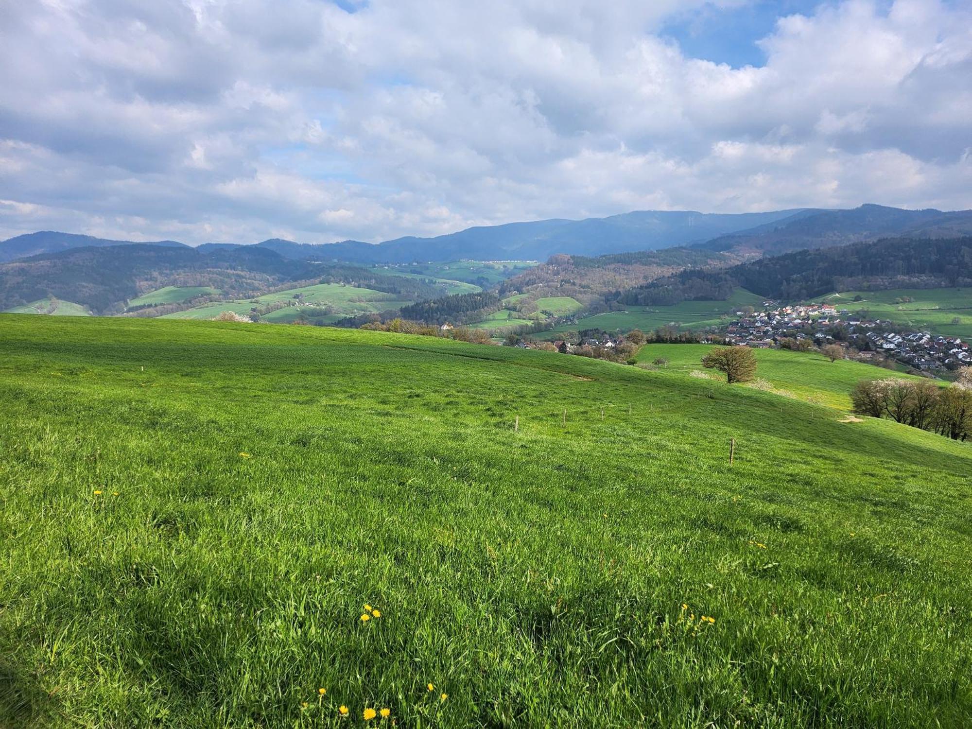 Ferienwohnung Herzlicht Titisee-Neustadt Eksteriør billede